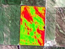 Precision Agriculture (Red shows low NDVI values, Green are high NDVI values 