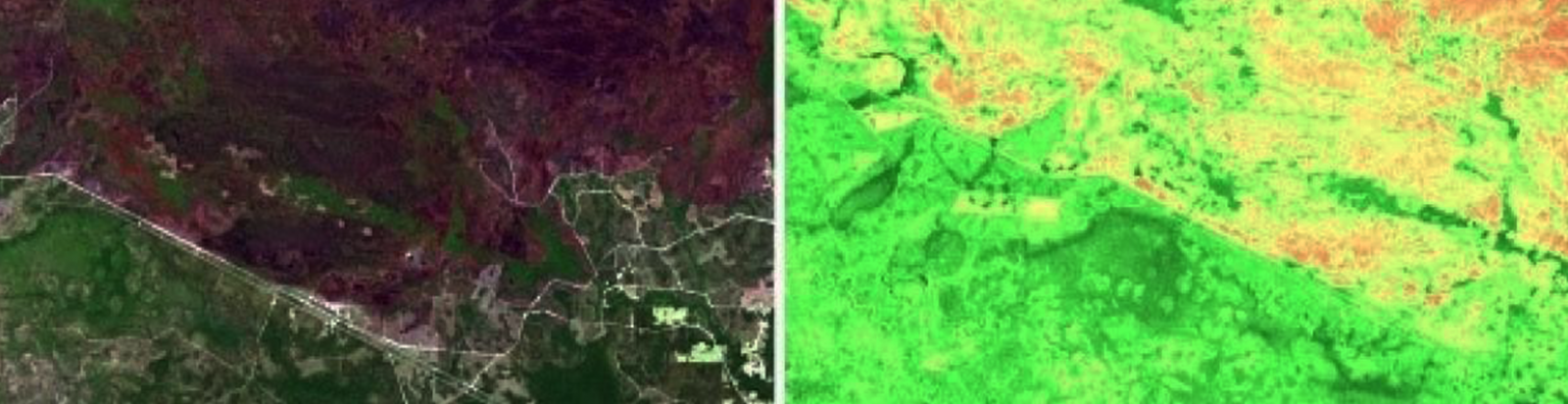 Evolution of satellite image data in agriculture
